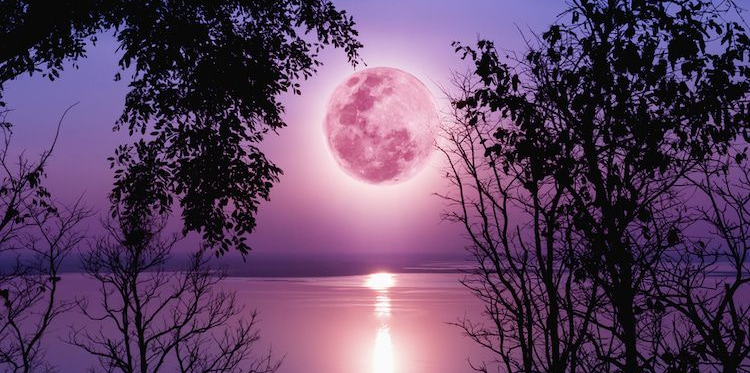 夜に向かう美しい月